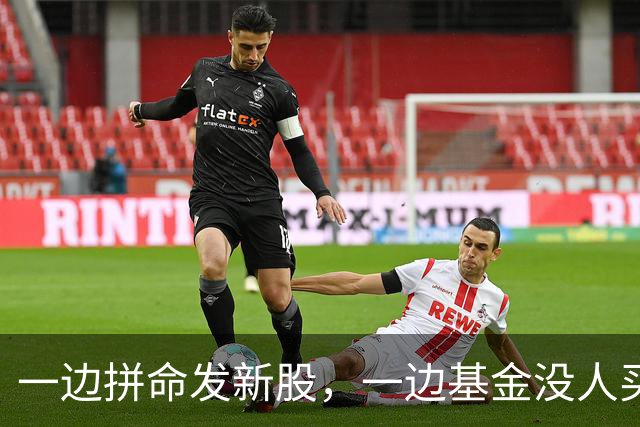一边拼命发新股，一边基金没人买，到底谁造成的？