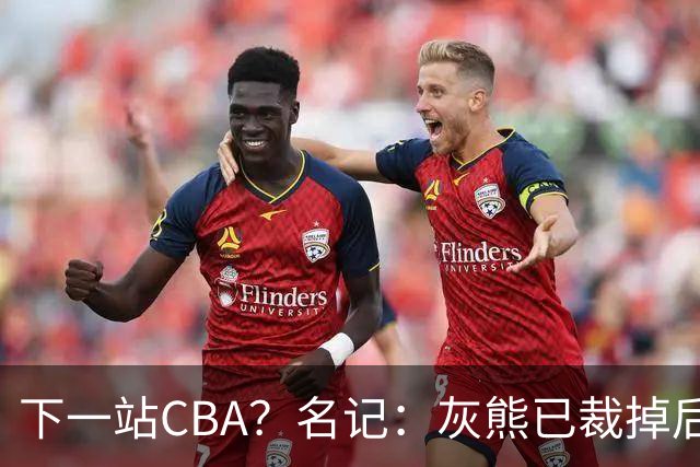 下一站CBA？名记：灰熊已裁掉后卫德安吉洛·拉塞尔