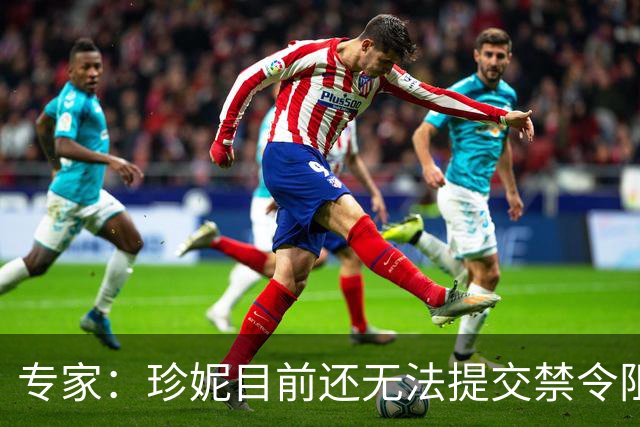 专家：珍妮目前还无法提交禁令阻止出售 必须等沃尔特的正式通知