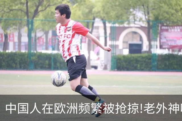 中国人在欧洲频繁被抢掠!老外神吐槽:中国人是没见过天敌的渡渡鸟