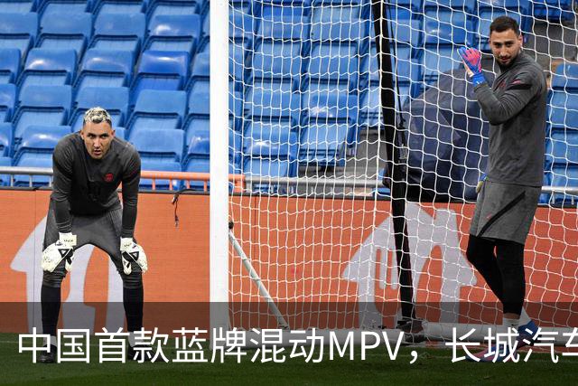 中国首款蓝牌混动MPV，长城汽车正式向丰田宣战