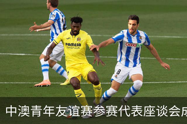 中澳青年友谊赛参赛代表座谈会成功举办，刘劲松大使出席