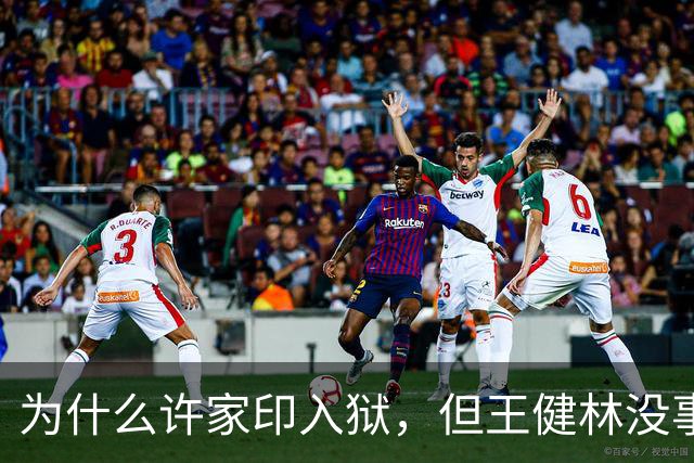 为什么许家印入狱，但王健林没事？