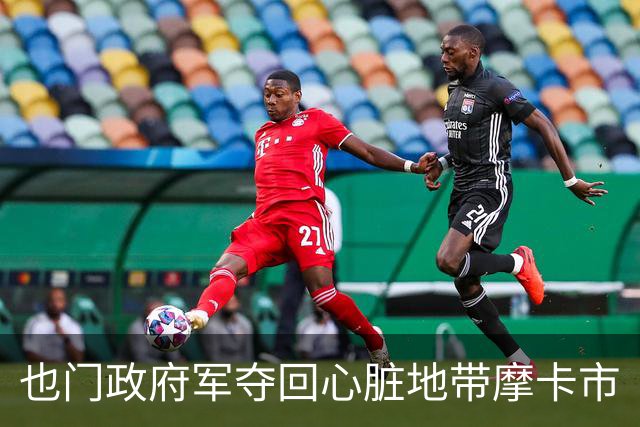 也门政府军夺回心脏地带摩卡市