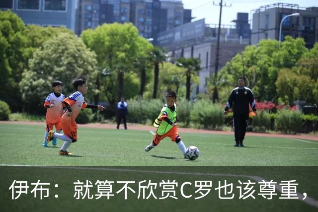 伊布：就算不欣赏C罗也该尊重，葡萄牙的7号早已不是一件普通球衣