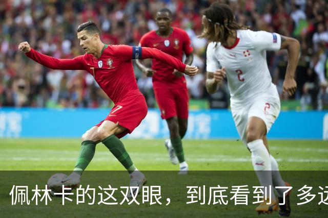 佩林卡的这双眼，到底看到了多远？