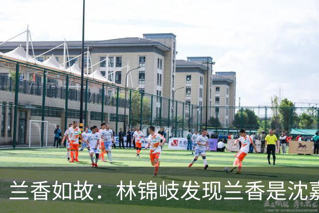 兰香如故：林锦岐发现兰香是沈嘉兰后烧光证据，直到程凤仙勾结海盗血洗林府，才知自己当初一个字都没往外漏是多正确的决定！