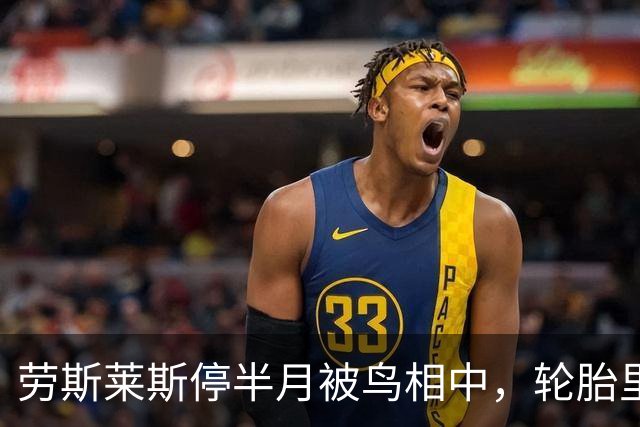 劳斯莱斯停半月被鸟相中，轮胎里筑巢产下5枚蛋，车主干脆让车当“产房”