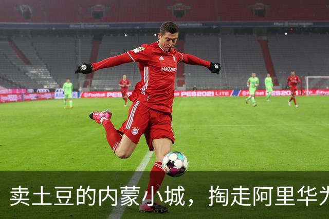 卖土豆的内蒙小城，掏走阿里华为上百亿