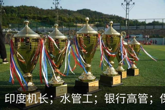 印度机长；水管工；银行高管；保险公司老板；牙医，救了那架飞机
