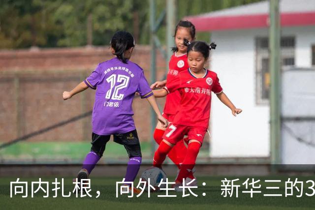 向内扎根，向外生长：新华三的3+3战略布局