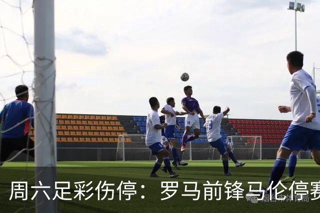 周六足彩伤停：罗马前锋马伦停赛 汉堡伤兵满营