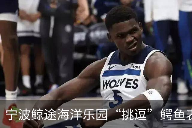 宁波鲸途海洋乐园“挑逗”鳄鱼表演引关注，辖区文旅局约谈园区负责人