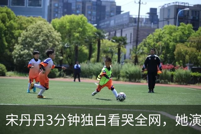 宋丹丹3分钟独白看哭全网，她演的压根不是单身妇人，是她自己啊