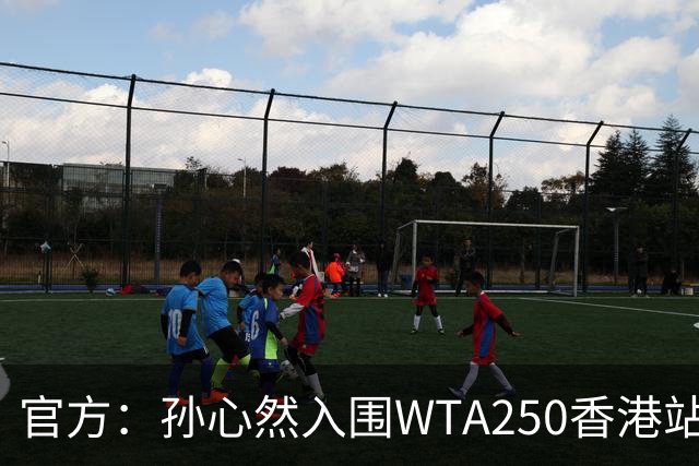 官方：孙心然入围WTA250香港站正赛