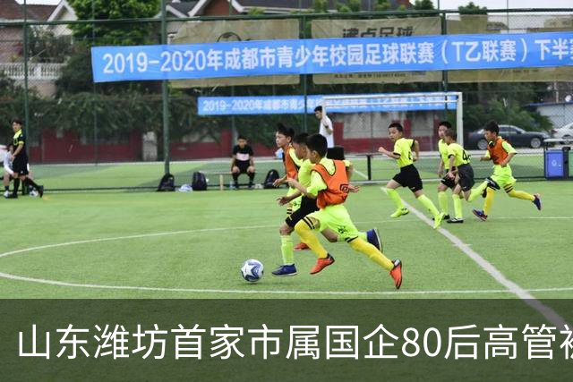 山东潍坊首家市属国企80后高管被查，曾从市财政局科员起步