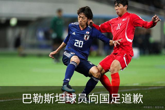 巴勒斯坦球员向国足道歉