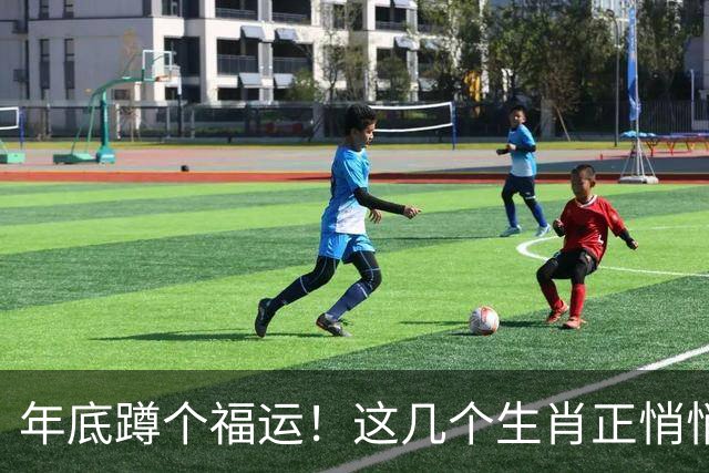 年底蹲个福运！这几个生肖正悄悄攒着大惊喜呢