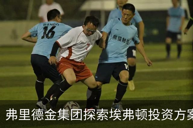 弗里德金集团探索埃弗顿投资方案，或包括全面出售