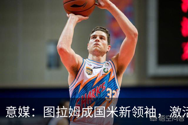 意媒：图拉姆成国米新领袖，激活逆转