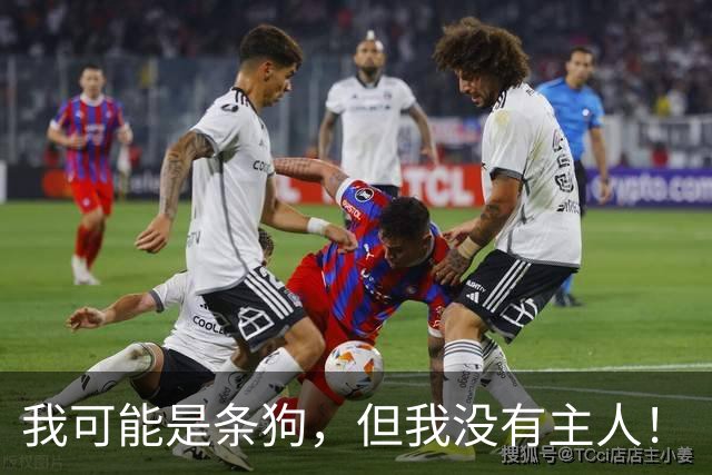我可能是条狗，但我没有主人！