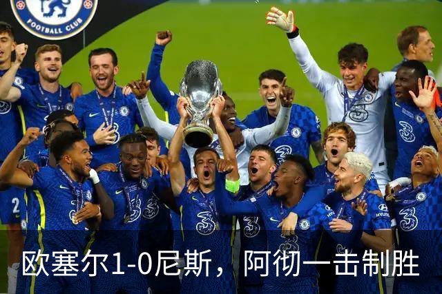欧塞尔1-0尼斯，阿彻一击制胜