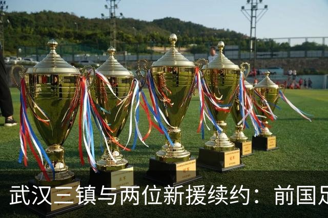 武汉三镇与两位新援续约：前国足主力重返中甲
