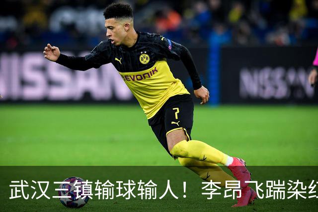 武汉三镇输球输人！李昂飞踹染红，或遭足协重罚，贺惯飞铲送点