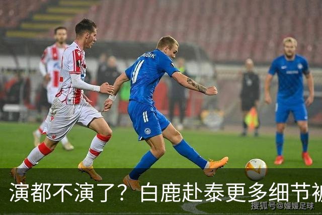 演都不演了？白鹿赴泰更多细节被曝，多人牵扯其中难怪不取消活动