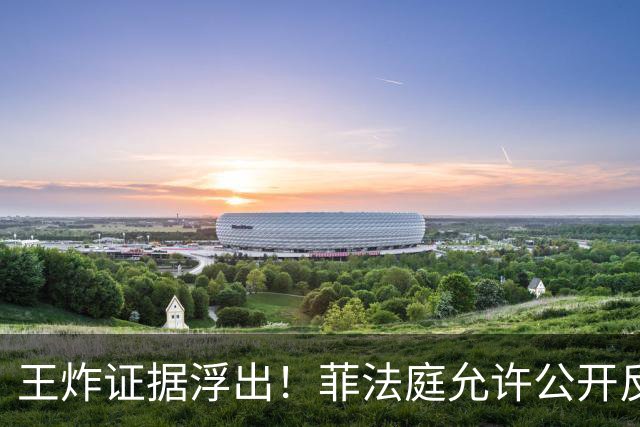王炸证据浮出！菲法庭允许公开反洗钱文件，曝光萨拉洗钱黑幕