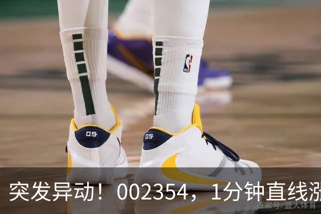 突发异动！002354，1分钟直线涨停！封单超200万手！