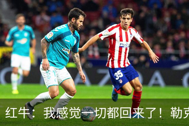 红牛：我感觉一切都回来了！勒克莱尔：我也一样……