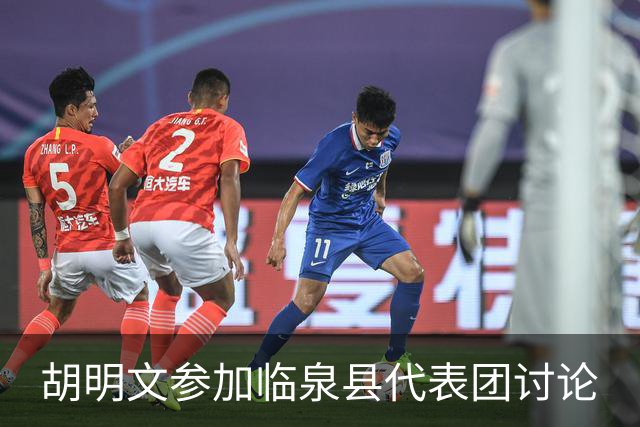 胡明文参加临泉县代表团讨论