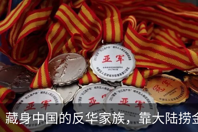 藏身中国的反华家族，靠大陆捞金上亿，国家重拳出击，结局太解气