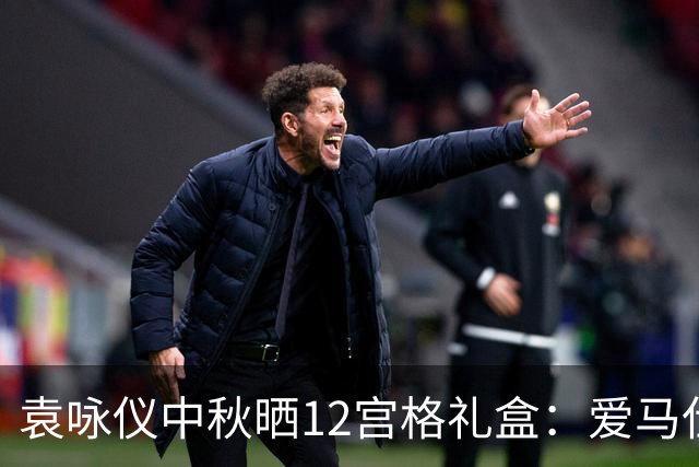 袁咏仪中秋晒12宫格礼盒：爱马仕、保时捷、迪奥铺满屏，快破产了