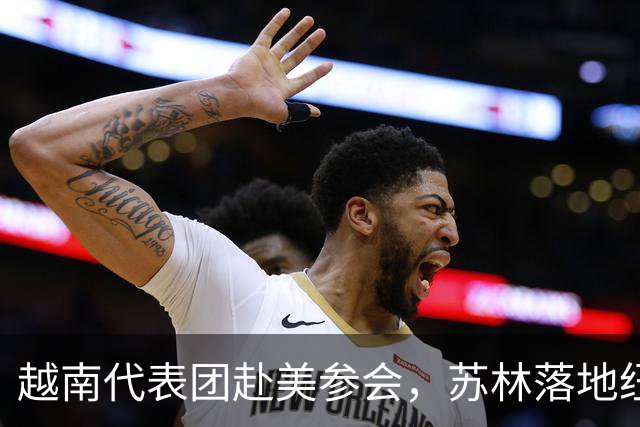 越南代表团赴美参会，苏林落地纽约后，承诺不让中企商品借道入美
