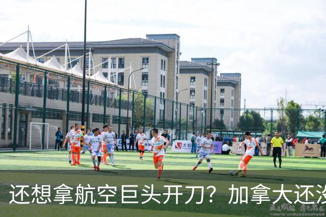 还想拿航空巨头开刀？加拿大还没正式发力，美国已经遍地飘红！