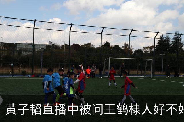 黄子韬直播中被问王鹤棣人好不好，他称：“肯定好啊，不好我们能成为兄弟吗？”