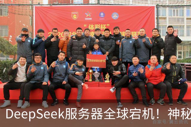 DeepSeek服务器全球宕机！神秘Harness账号同时现身